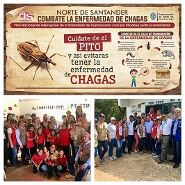 Verifican estado de enfermedad de Chagas en Norte de Santander